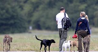 Ausbildung muss wenigstens sechs Stunden dauern und soll 120 bis 240 Franken kosten. Keine Kurspflicht gilt f&uuml;r Halter von Herdenschutzhunden.
