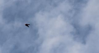 Der 43-j&auml;hrige Walliser galt als erfahrener Wingsuit-Pilot 