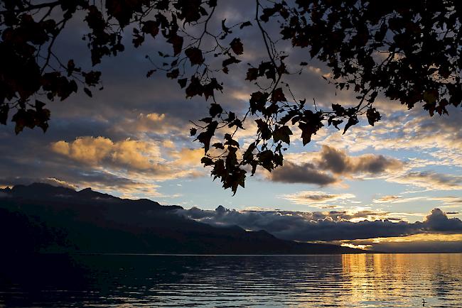 Am Samstagabend hat sich in Morges am Genfersee ein tragischer Unfall ereignet. 