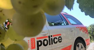 Patrouillen der Kantonspolizei an Weinlese unterwegs.