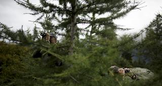 Die beiden J&auml;gerkollegen waren am fr&uuml;hen Montagmorgen oberhalb von Blatten bei Naters unterwegs, als sich der t&ouml;dliche Unfall ereignet hat. 