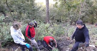 Anl&auml;sslich des Herbst-Zunftwerks der &laquo;Cheschtinu-Zunft Eyholz&raquo; wurden 14 Mulden ausgehoben, in die neue Kastanienb&auml;ume gesetzt werden sollen. 