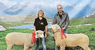 Jungtiere. Z&uuml;chterin Yvonne Werlen mit der Jungmiss &laquo;Anik&raquo; und Z&uuml;chter Mario Furrer aus Staldenried mit Jungmister &laquo;Danilo&raquo;. Fotos WB