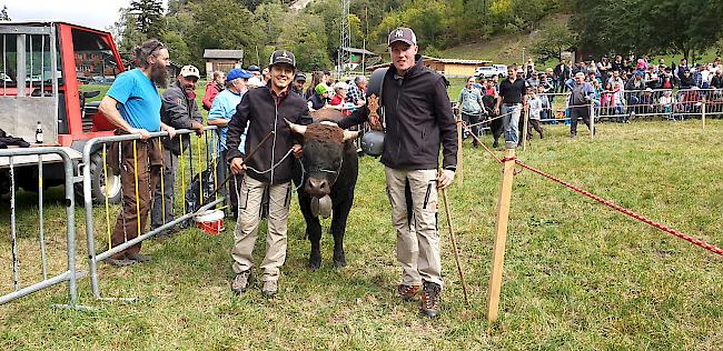 Gruppe B, Rang 6: «Colorado» aus der Stallung Lengen und Palm, Embd.