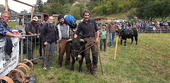 Gruppe A, Rang 7: «Taragon» von Ricardo Andenmatten, Grächen.