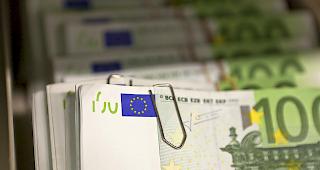 Bereiche, in den eine &uuml;berdurchschnittlich hohe Fehlerquote festgestellt wurden: bei Entwicklungsprojekten in &auml;rmeren Regionen der EU oder bei Hilfen f&uuml;r Schwellenl&auml;nder ausserhalb der EU.