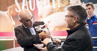 Auf dem Rundgang durchs Olma-Gel&auml;nde zeigte Berset, der sich selbst als &laquo;Landei&raquo; bezeichnet hatte, dass er Hand anlegen kann. Zuerst brachten B&auml;uerinnen dem Bundesrat bei, wie man einen Zopf flechten muss, danach bew&auml;hrte er sich im Nutztierstall beim obligaten S&auml;ulihalten.