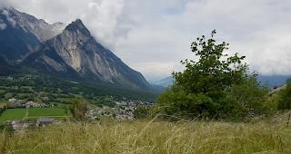 Mit Ziegen beweideter Steppenrasen &laquo;Ober Rotafen&raquo; bei Erschmatt auf 1200 m. Das Federgras steht gerade in voller Bl&uuml;te.