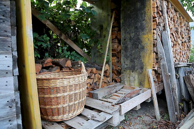 Beliebt sind auch Schlafnester unter einem Schuppen, Gartenhäuschen oder unter einem Holzstapel. 