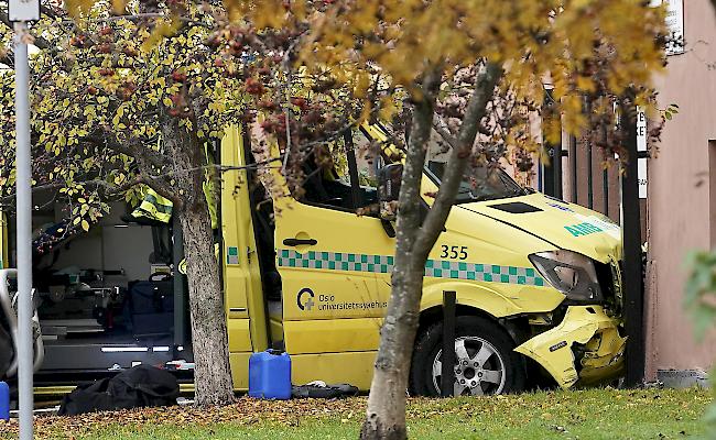 <b>Tatfahrzeug.</b> Der Verdächtige rammte mit dem gestohlenen Krankenwagen letztlich in eine Mauer.