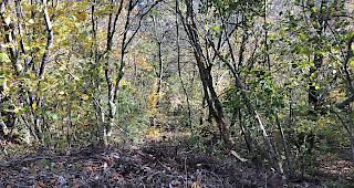 <b>Unfallstelle.</b> Am Freitagvormittag ist ein 64-j&auml;hriger Gemeindearbeiter bei Torgon t&ouml;dlich verunfallt.