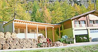 Unter Druck. Fr&uuml;her war das Forstrevier &laquo;Inneres Nikolaital&raquo; fast der einzige Lieferant f&uuml;r Brennholz im Mattertal. Doch die Konkurrenz schl&auml;ft nicht. Foto zvg