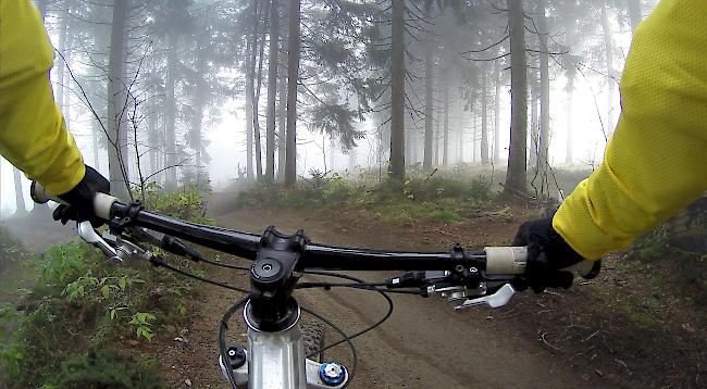 Nebulös: Ob Biker künftig durch den Telwald fahren dürfen, ist weiterhin unklar.
