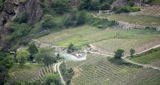 K&uuml;nftig vermehrt zu beobachten: Heli-Einsatz &uuml;ber einem Rebberg bei St. German.