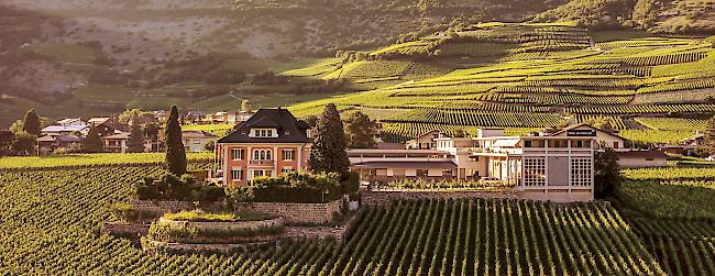 Syrah "Rhône Saga" 2017, Lux Vina von Domaines Chevaliers gewinnt als einziger Schweizer Wein einen Master Titel.