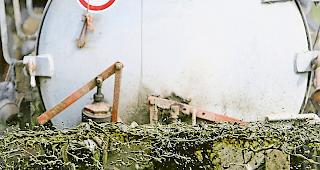 Fahrl&auml;ssig. Auf einer Oberwalliser Kuhalpe sind beim G&uuml;lleaustrag Bergb&auml;che massiv &shy;verschmutzt worden.Foto keystone