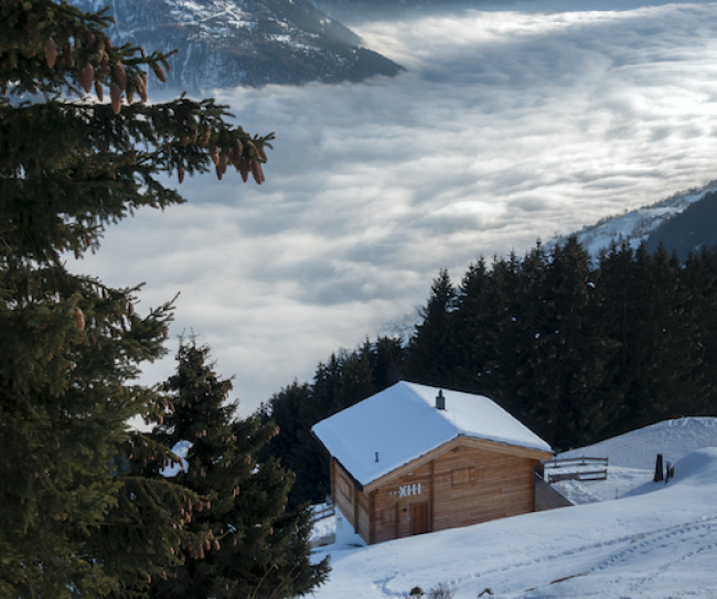 Kurtaxe: Ja? Nein? Die Aletsch Arena entscheidet.