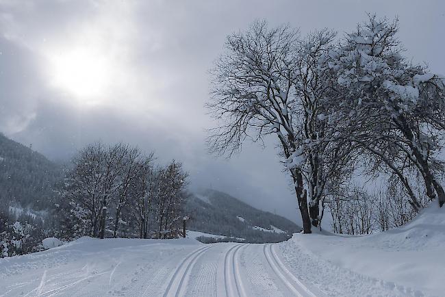 Im südlichen Wallis hat es in den vergangenen acht Tagen teils ergiebig geschneit. 