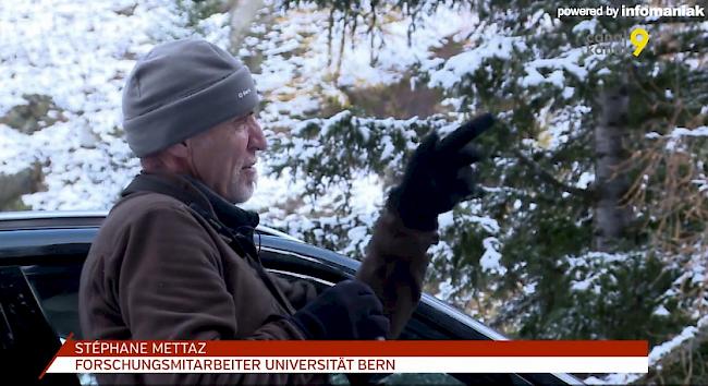 ...mal als wissenschaftlicher Mitarbeiter bei Arlettaz und der Uni Bern.
