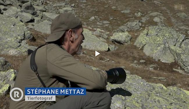 Rollenspiel. Stéphane Mettaz mal als Tierfotograf und Ex-Jäger...