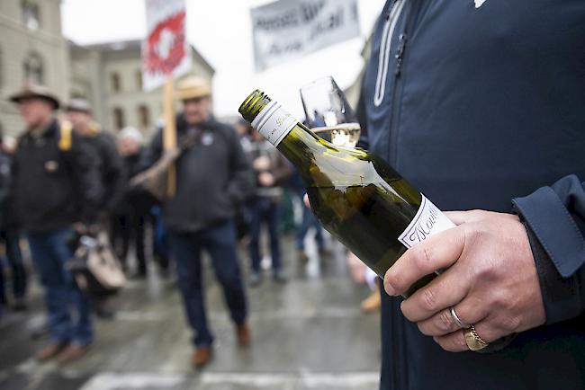 Kundgebung in Bern: die Einfuhrsteuern auf ausländischem Wein sollen überprüft werden. 