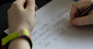 Einzig in Luxemburg h&auml;tten die Jugendlichen im Durchschnitt ein tieferes Ergebnis als in der Schweiz erzielt. Dass in der Schweiz zwischen Pisa 2015 und 2018 die Lesekompetenz um acht Punkte gesunken sei, deute formell aber nicht auf schlechtere F&auml;higkeiten hin.