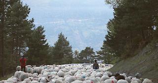 Motion des Berner SVP-Nationalrats Andreas Aebi am Mittwoch mit 30 zu 5 Stimmen abgelehnt.