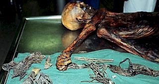 Schweizer Wissenschaftler haben ein weiteres R&auml;tsel rund um die Gletschermumie &Ouml;tzi gel&ouml;st. Die Schnur, die der Mann aus dem Eis in seinem K&ouml;cher mit sich f&uuml;hrte, d&uuml;rfte eine Sehne f&uuml;r seinen Bogen gewesen sein, teilte das S&uuml;dtiroler Arch&auml;ologiemuseum am Dienstag mit.