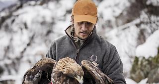Einen Monat lang hat sich Bernhard Steiner in seiner Vogelauffangstation in Steg um den von Kokzidien befallenen Steinadler gek&uuml;mmert, bevor dieser in seinem Revier in Bitsch wieder ausgewildert werden konnte.