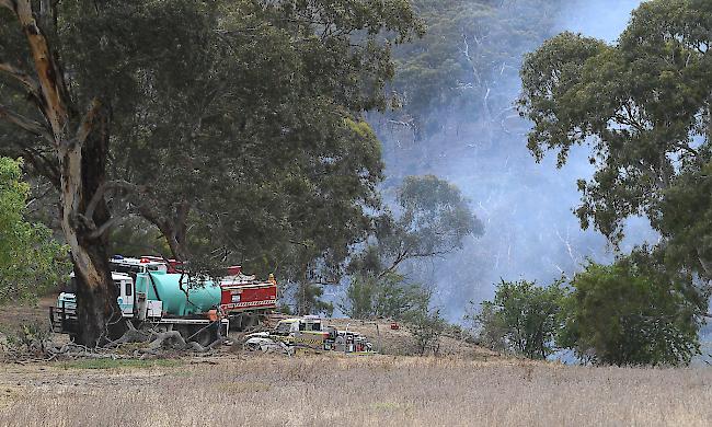 Feuerwehrleute im Einsatz bei einem Grasfeuer.