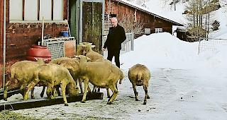 Schafhalter Heinrich Lauber. &laquo;Was, wenn er im Fr&uuml;hjahr noch hier ist?&raquo;
