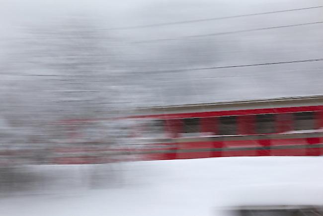 Die Kollision der Rhätischen Bahn mit dem Tier wurde umgehend gemeldet mit. Der Kadaver ist zur genetischen Analyse am pathologischen Institut der Universität Bern. (Symbolbild / Archiv)