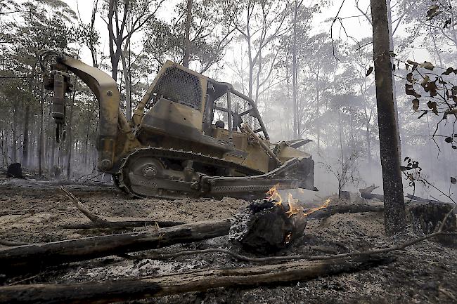 Seit Beginn der grossen Feuer im Oktober verbrannten in ganz Australien mehr als zehn Millionen Hektar Land. Tausende Häuser wurden zerstört. Nach Schätzungen von Experten sollen mindestens eine Milliarde Tiere getötet worden sein.