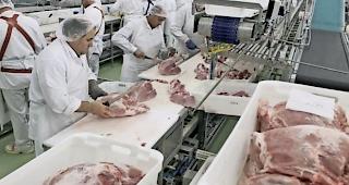 Wie andere Schweizer Kantone wurde das Wallis von der BLK (Bundeseinheit f&uuml;r die Lebensmittelkette) einem Audit unterzogen. 