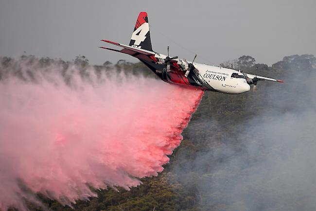 Laut Zeugenaussagen ging das Flugzeug beim Absturz am Boden in einem Feuerball auf. Die Unglücksursache war unklar. (Symbolbild)