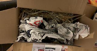 Statt der bestellten B&uuml;cher findet ein Bewohner des Aletsch Campus in Naters nur Verpackungsmaterial im Paket vor. Kein Einzelfall.