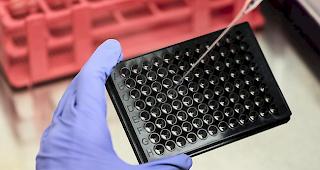 Die Chemie- und Pharmabranche steuerte auch im 2018 einen wesentlichen Beitrag zu den Schweizer Exporten.