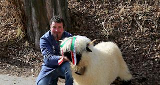 Die &laquo;Miss Visp&raquo; geh&ouml;rt Dionys Schnidrig aus St. Niklaus, der hier von Vater Stefan vertreten wird. 