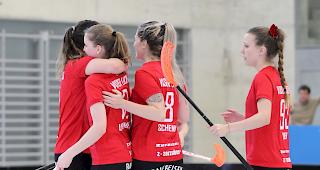 Die Spielerinnen der Visper Lions k&ouml;nnen jubeln: Die Playoffs erreicht und den Ligaerhalt fr&uuml;hzeitig gesichert.