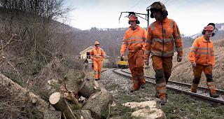 Arbeiter reparieren das Gleis der SBB, nachdem am Montag im schweizerischen Moutier B&auml;ume auf das Bahntrassee gefallen sind.