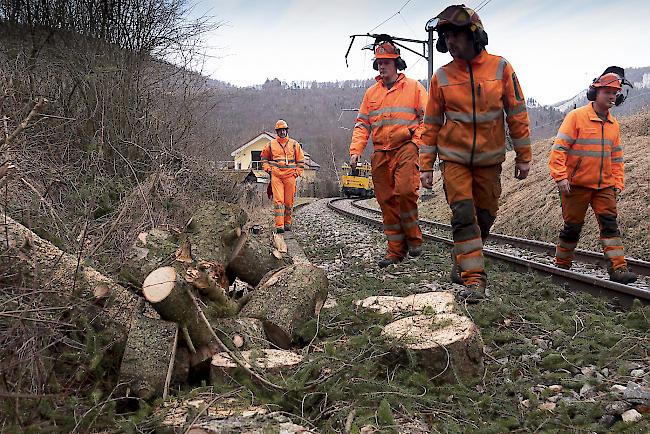 Arbeiter reparieren das Gleis der SBB, nachdem am Montag im schweizerischen Moutier Bäume auf das Bahntrassee gefallen sind.