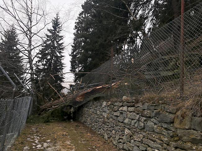 Bei den Gehegen oberhalb des Weges handelt es sich um leerstehende und alte Gehege.