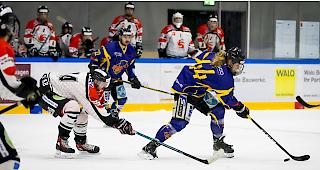 Yannick Burgener (rechts) und Sandro Lorenz (Mitte) stehen mit dem EHC Raron im Play-off-Halbfinal.