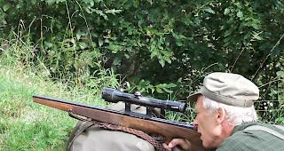 Auch Sch&auml;den bei Hobbytierhaltern sollen die Jagd auf W&ouml;lfe rechtfertigen. (Symbolbild)