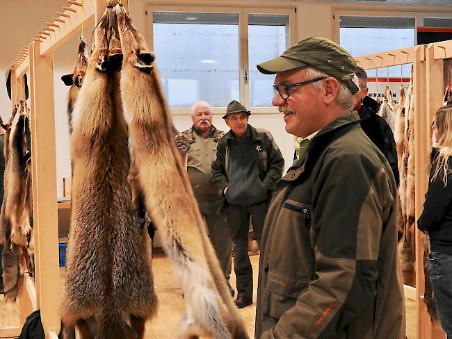 Impressionen vom 41. Pelzfellmarkt in Mörel-Filet.