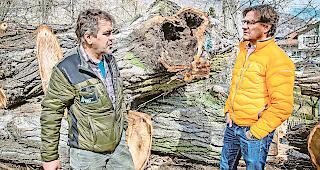 Verantwortlich. Martin Imesch, Leiter des Forstreviers Visp, (links) und Norbert Zuber, Leiter Infrastruktur und Umwelt der Gemeinde Visp, koordinieren die Fällaktion.