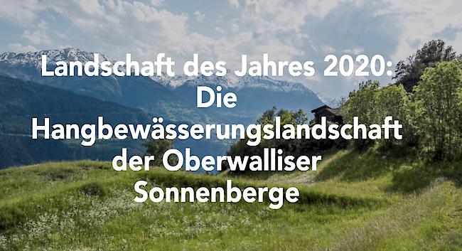 Die Stiftung Landschaftsschutz Schweiz zeichnet die Hangbewässerungslandschaft der Oberwalliser Sonnenberge als Landschaft des Jahres 2020 aus. Der Festakt fällt jedoch ins Wasser.