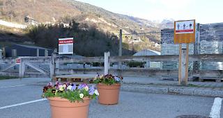 Kein direkter Kundenkontakt. Die G&auml;rtnerei des Visper Landwirtschaftszentrums setzt auf einen Abholservice, um einen kompletten Verkaufsstopp zu verhindern.