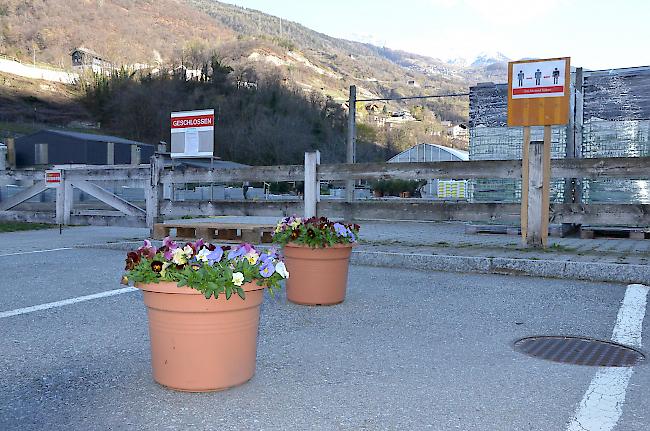 Kein direkter Kundenkontakt. Die Gärtnerei des Visper Landwirtschaftszentrums setzt auf einen Abholservice, um einen kompletten Verkaufsstopp zu verhindern.