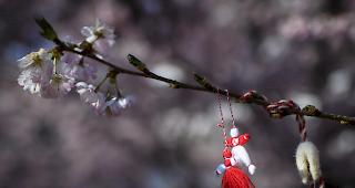 Die Leute versuchen den Spagat zwischen Einhaltung der Beh&ouml;rden-Warnungen und dem nat&uuml;rlichen Bed&uuml;rfnis, in die Natur zu gehen, hiess es vonseiten der Basler Polizei. (Bild: Bern)